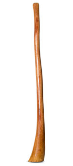 Gloss Finish Bell Didgeridoo (TW1116)